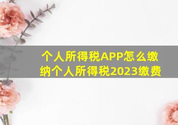 个人所得税APP怎么缴纳个人所得税2023缴费