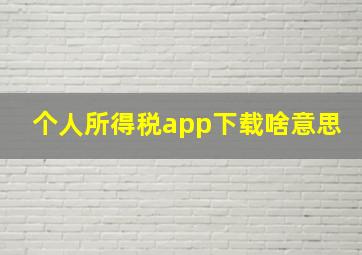 个人所得税app下载啥意思