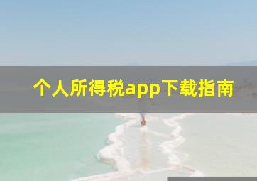 个人所得税app下载指南