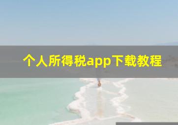 个人所得税app下载教程