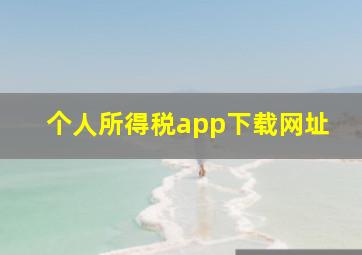 个人所得税app下载网址