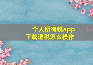 个人所得税app下载退税怎么操作