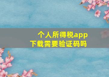 个人所得税app下载需要验证码吗