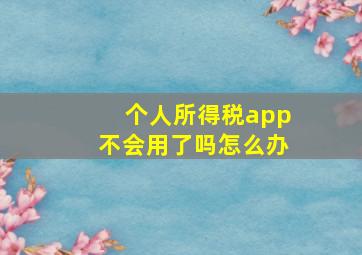 个人所得税app不会用了吗怎么办