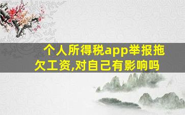 个人所得税app举报拖欠工资,对自己有影响吗