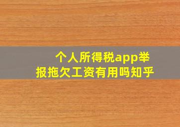 个人所得税app举报拖欠工资有用吗知乎