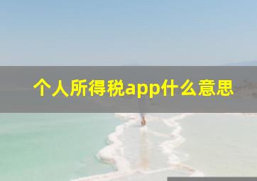 个人所得税app什么意思