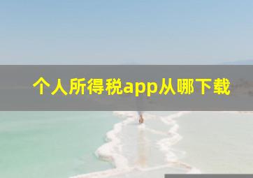 个人所得税app从哪下载