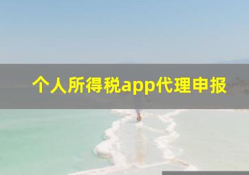 个人所得税app代理申报