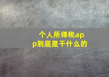 个人所得税app到底是干什么的