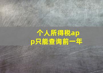 个人所得税app只能查询前一年