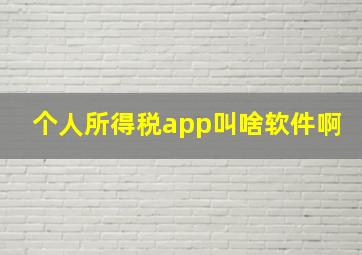 个人所得税app叫啥软件啊