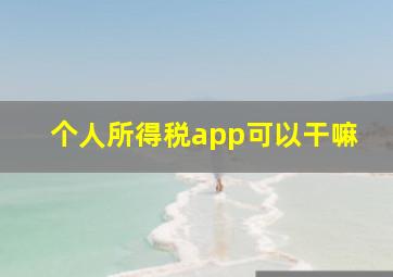 个人所得税app可以干嘛