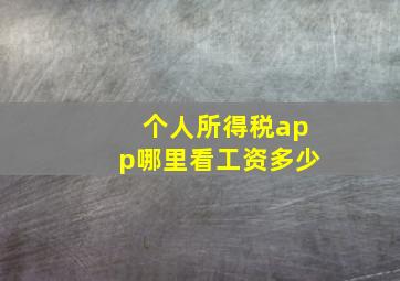 个人所得税app哪里看工资多少