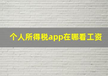 个人所得税app在哪看工资