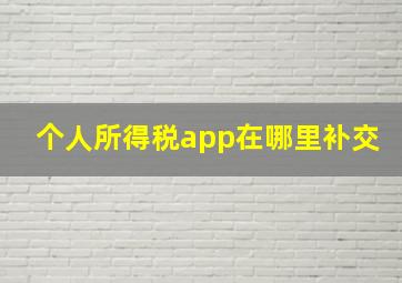 个人所得税app在哪里补交