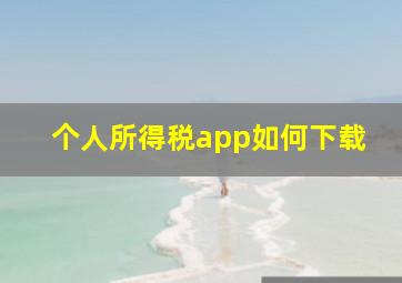 个人所得税app如何下载