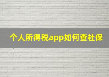 个人所得税app如何查社保