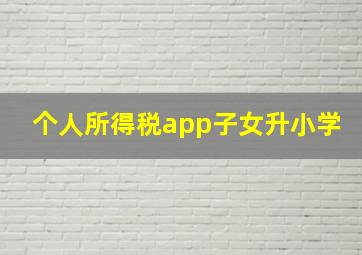 个人所得税app子女升小学