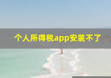 个人所得税app安装不了