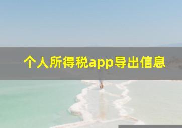 个人所得税app导出信息