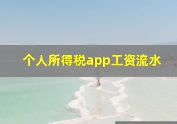 个人所得税app工资流水