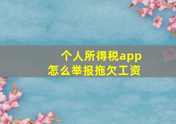 个人所得税app怎么举报拖欠工资