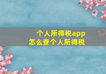 个人所得税app怎么查个人所得税