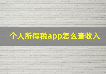 个人所得税app怎么查收入