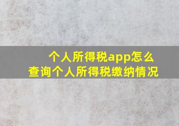 个人所得税app怎么查询个人所得税缴纳情况