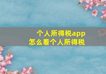 个人所得税app怎么看个人所得税