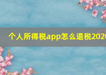 个人所得税app怎么退税2020