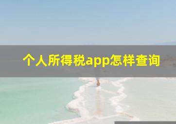 个人所得税app怎样查询