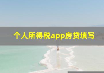 个人所得税app房贷填写