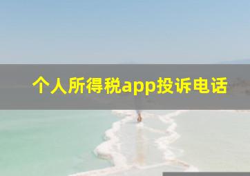 个人所得税app投诉电话