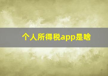 个人所得税app是啥