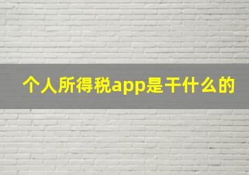 个人所得税app是干什么的