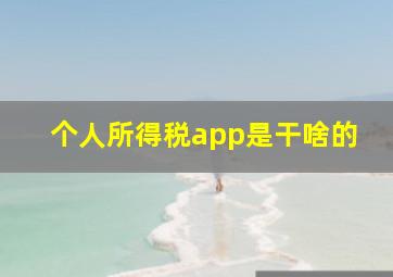 个人所得税app是干啥的