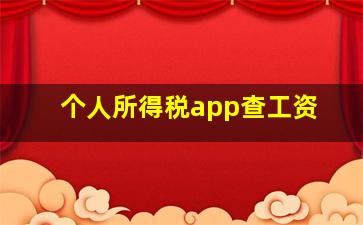 个人所得税app查工资