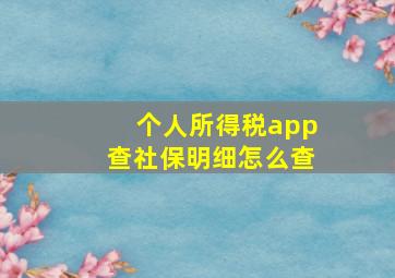 个人所得税app查社保明细怎么查