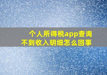 个人所得税app查询不到收入明细怎么回事