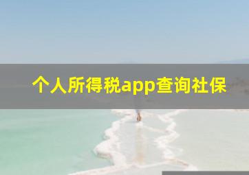 个人所得税app查询社保