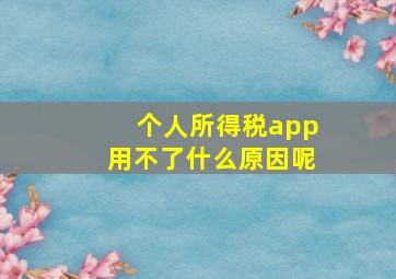 个人所得税app用不了什么原因呢