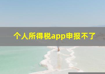 个人所得税app申报不了