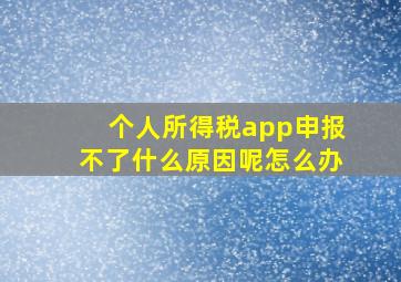 个人所得税app申报不了什么原因呢怎么办