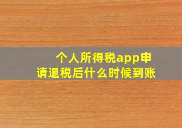 个人所得税app申请退税后什么时候到账