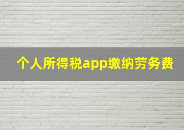 个人所得税app缴纳劳务费