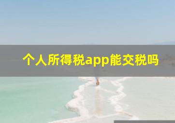 个人所得税app能交税吗