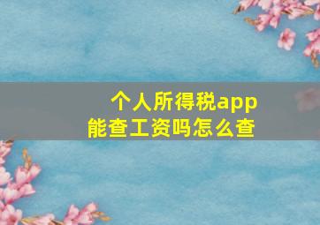 个人所得税app能查工资吗怎么查