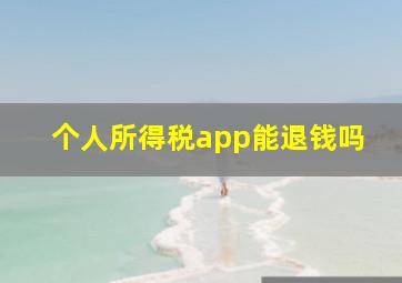 个人所得税app能退钱吗